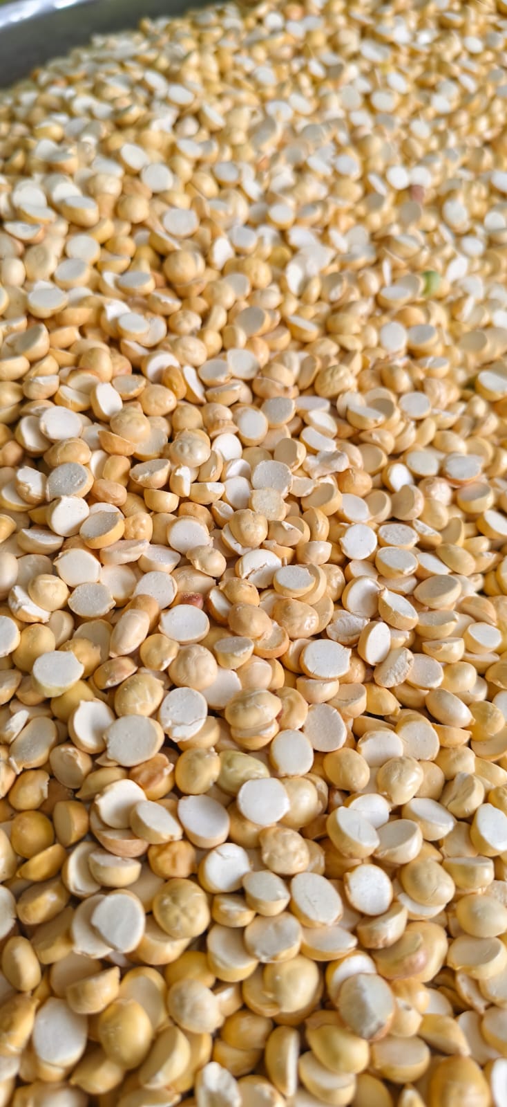 Premium Quality Aathi's Nayam Porikadalai